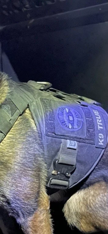 Police Request Assistance To Locate Canine Vest