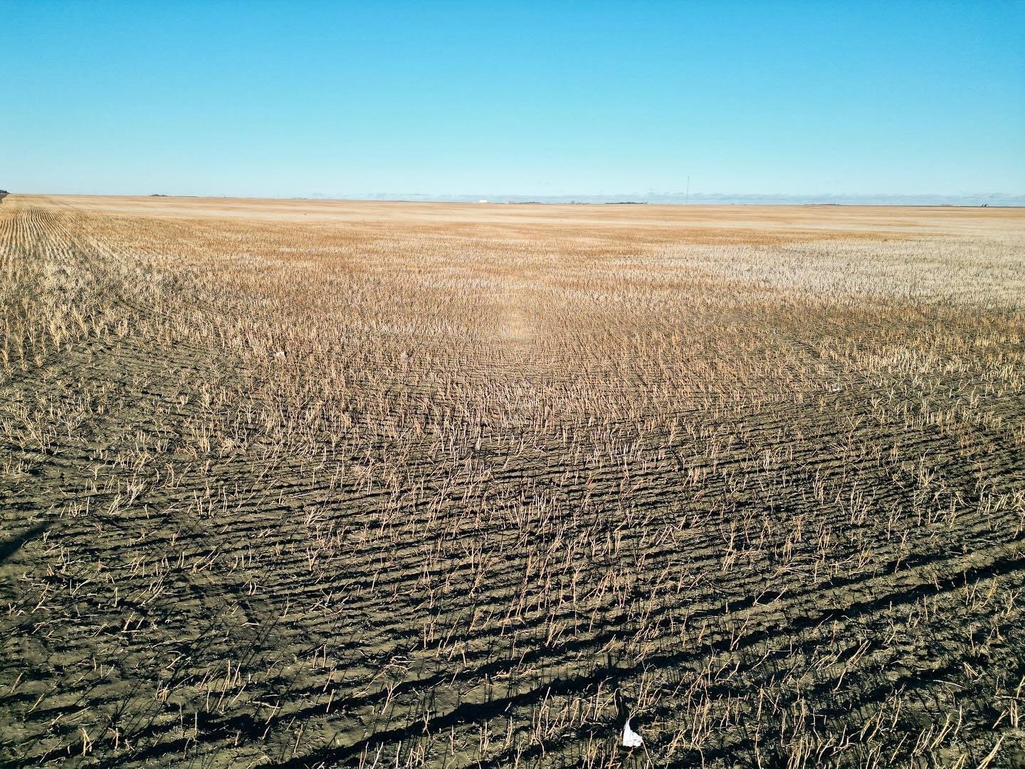 No Plan B If Application Rejected For Proposed New Landfill Site