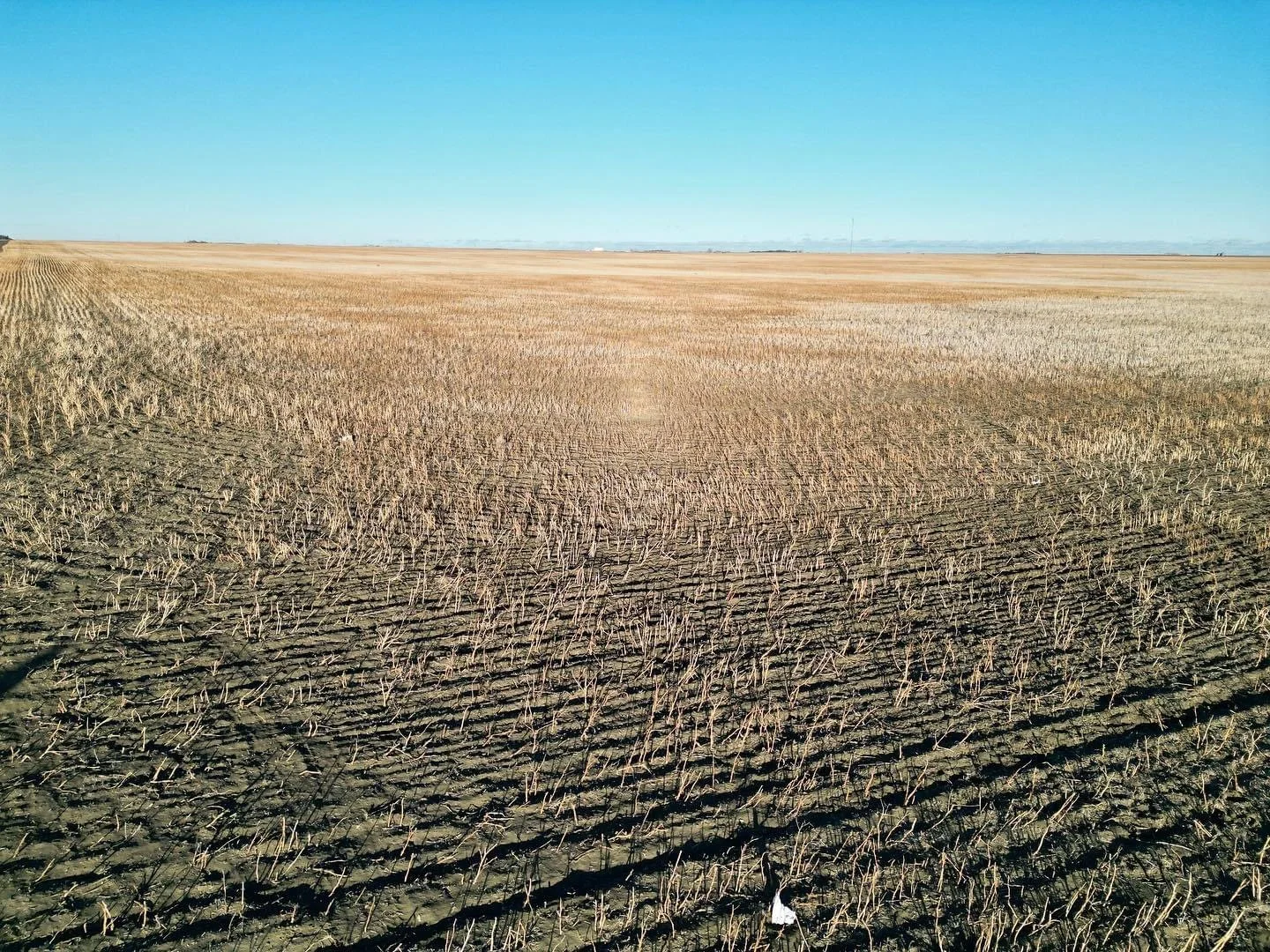 No Plan B If Application Rejected For Proposed New Landfill Site