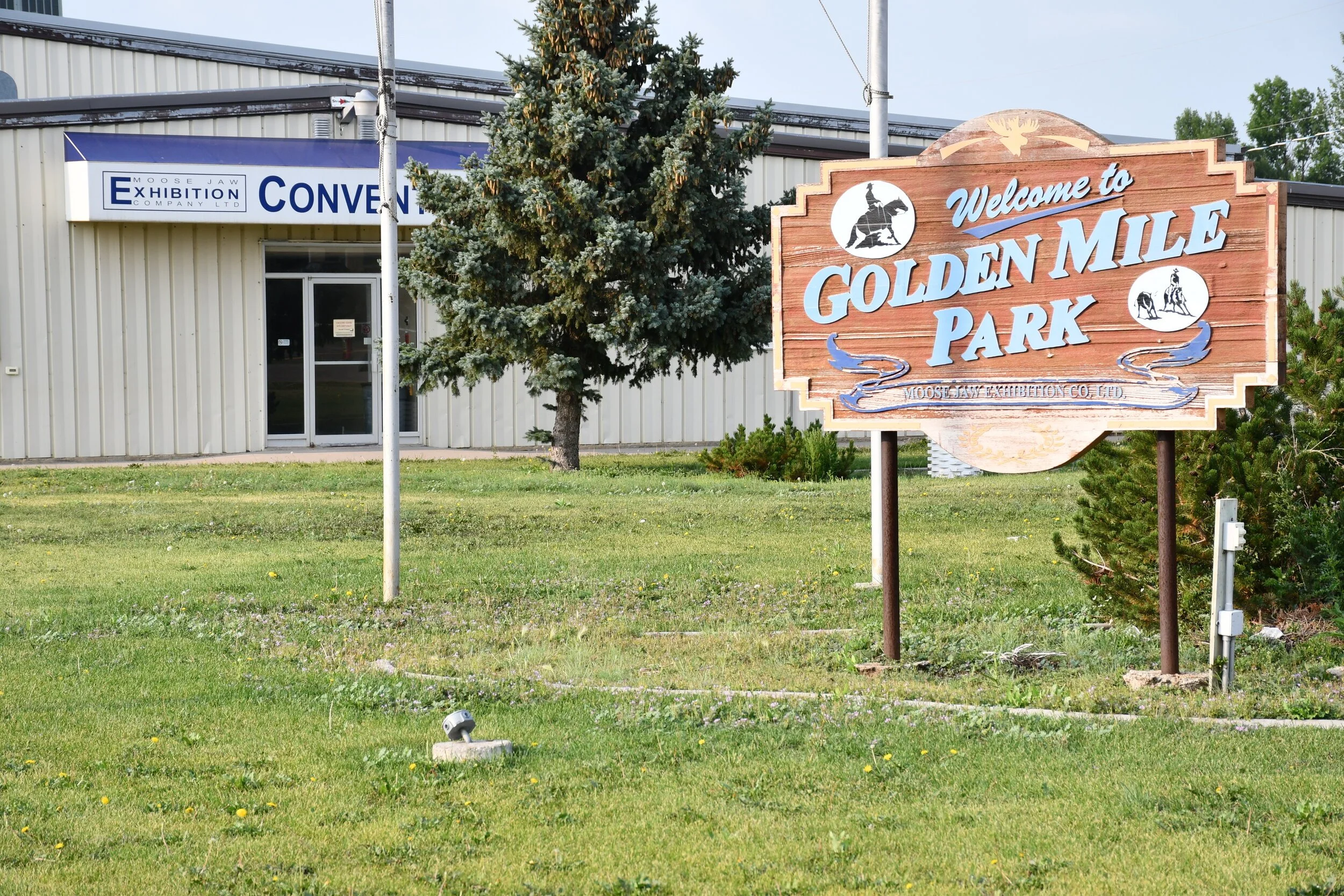 What’s On The Exhibition This Weekend - Cutting Horse Competition 