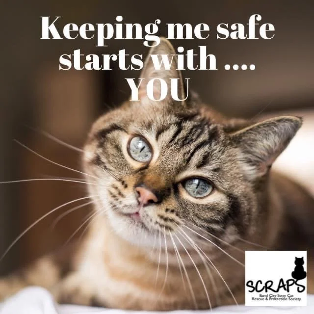 SCRAPS - MJ Sends An Appeal To Pet Owners