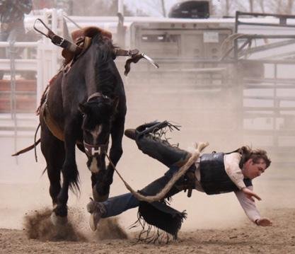 Moose Jaw Exhibition News Briefs