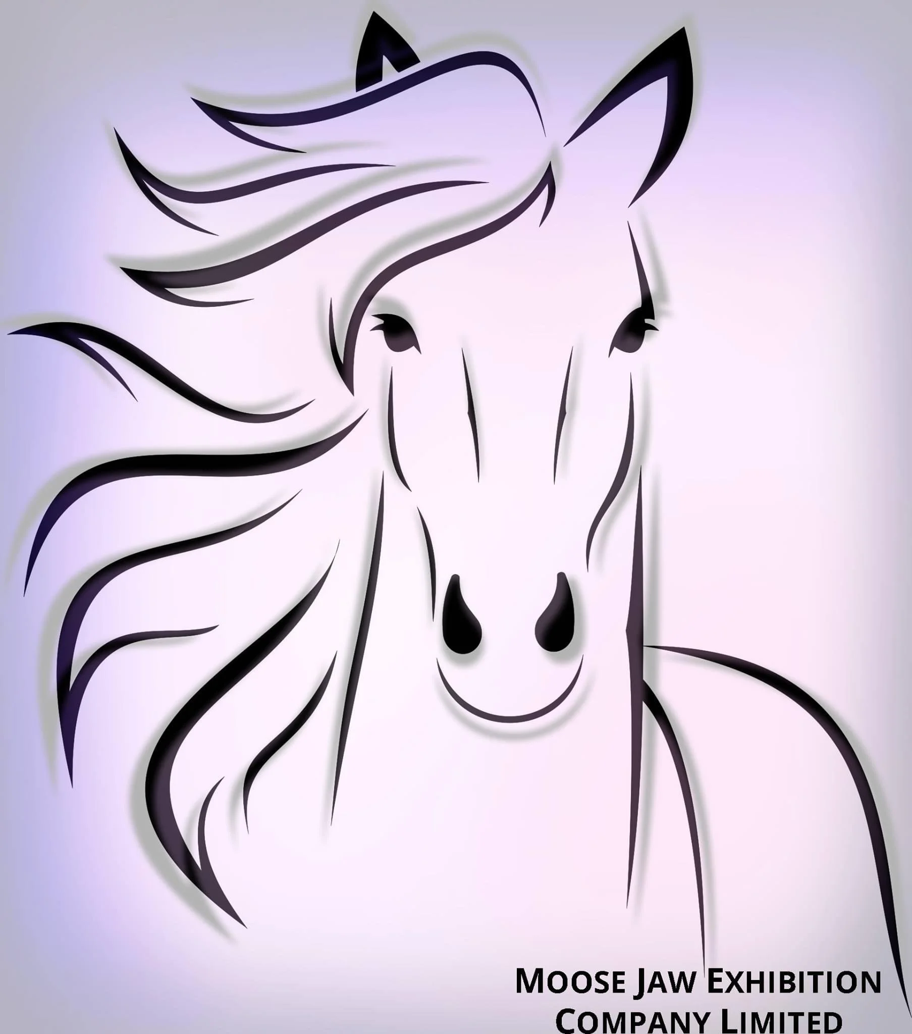 Lots Of Horse Events In September