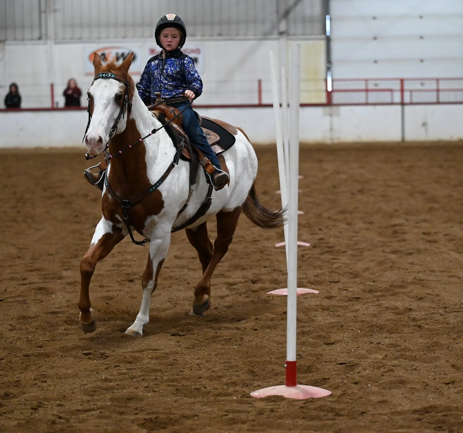 Sask Horse Federation Show Finals This Weekend