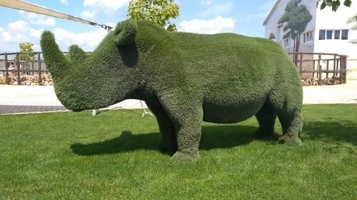 Rhino’s Ramblings - The Civic Election