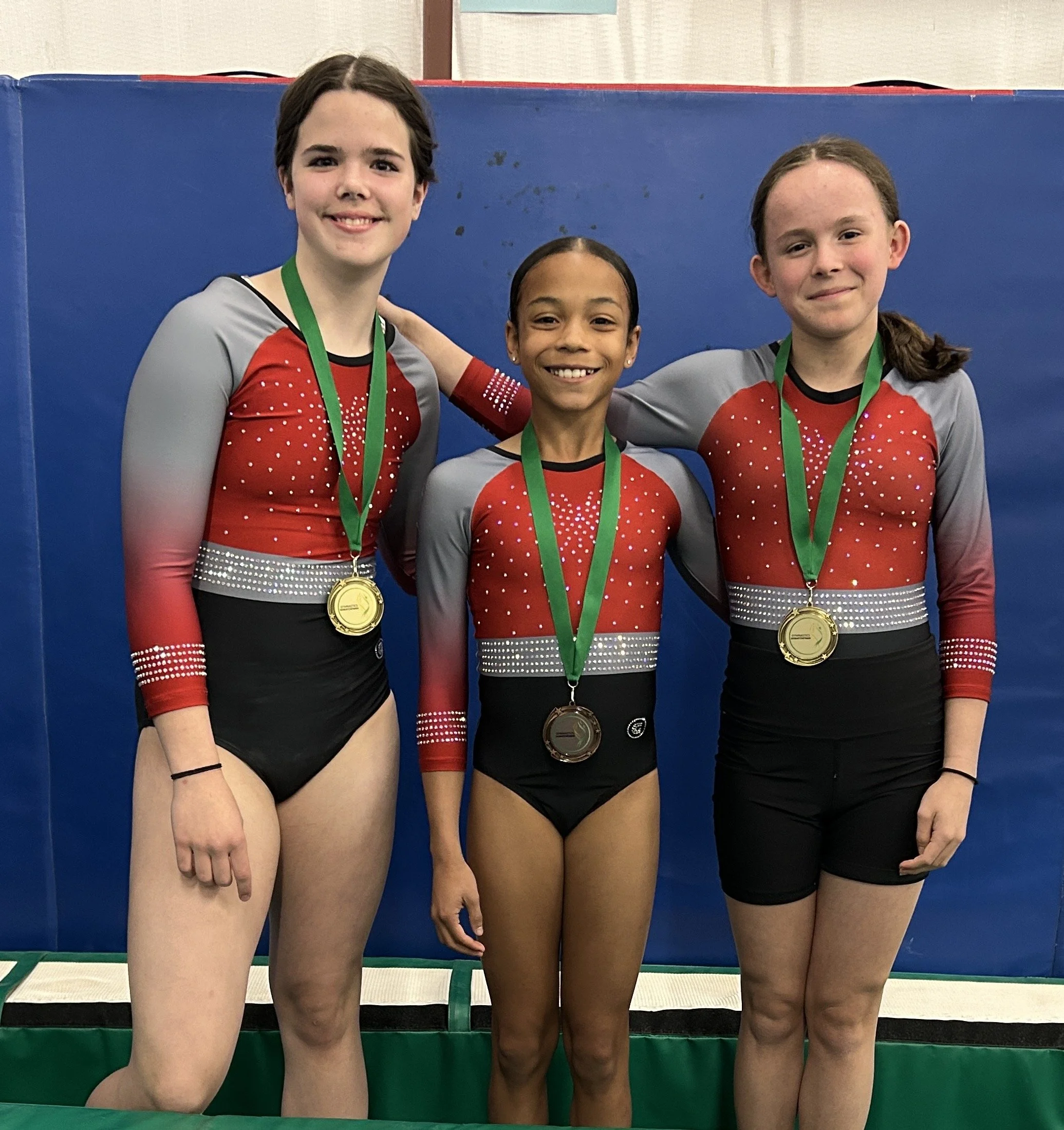 Gymtastiks Athletes Compete in Provincials