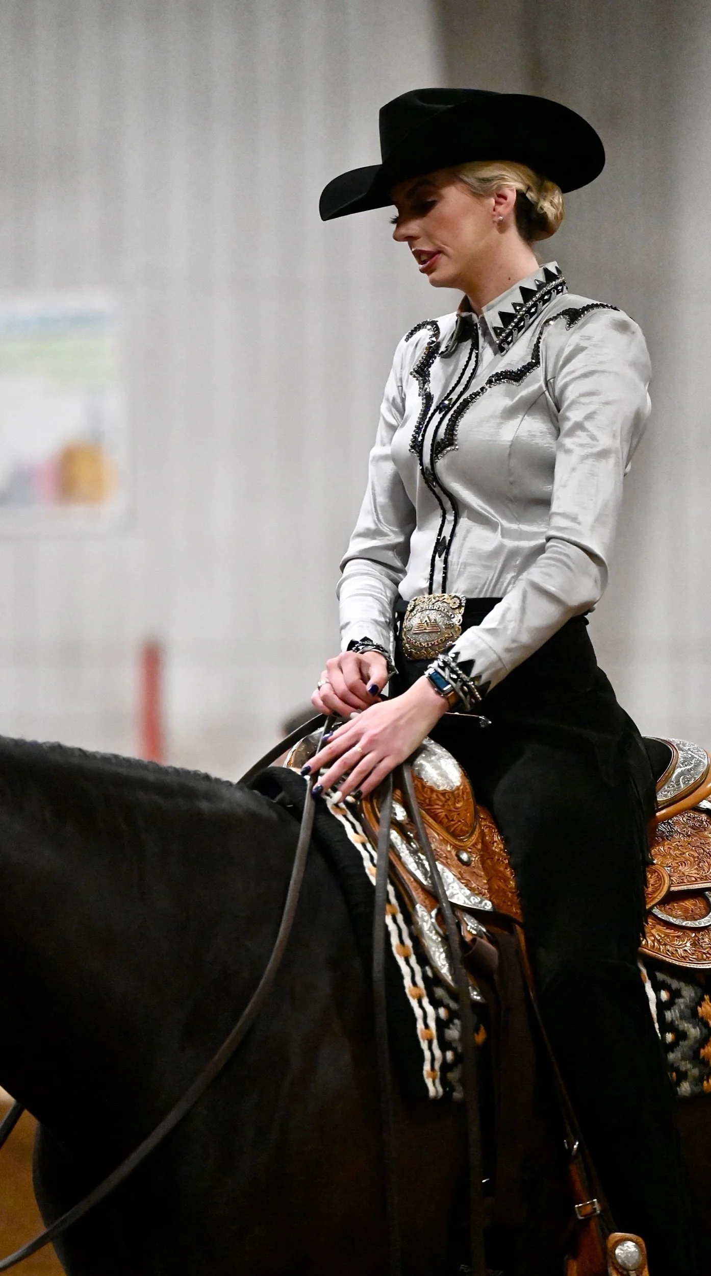 Saskatchewan Quarter Horses - Photo Essay