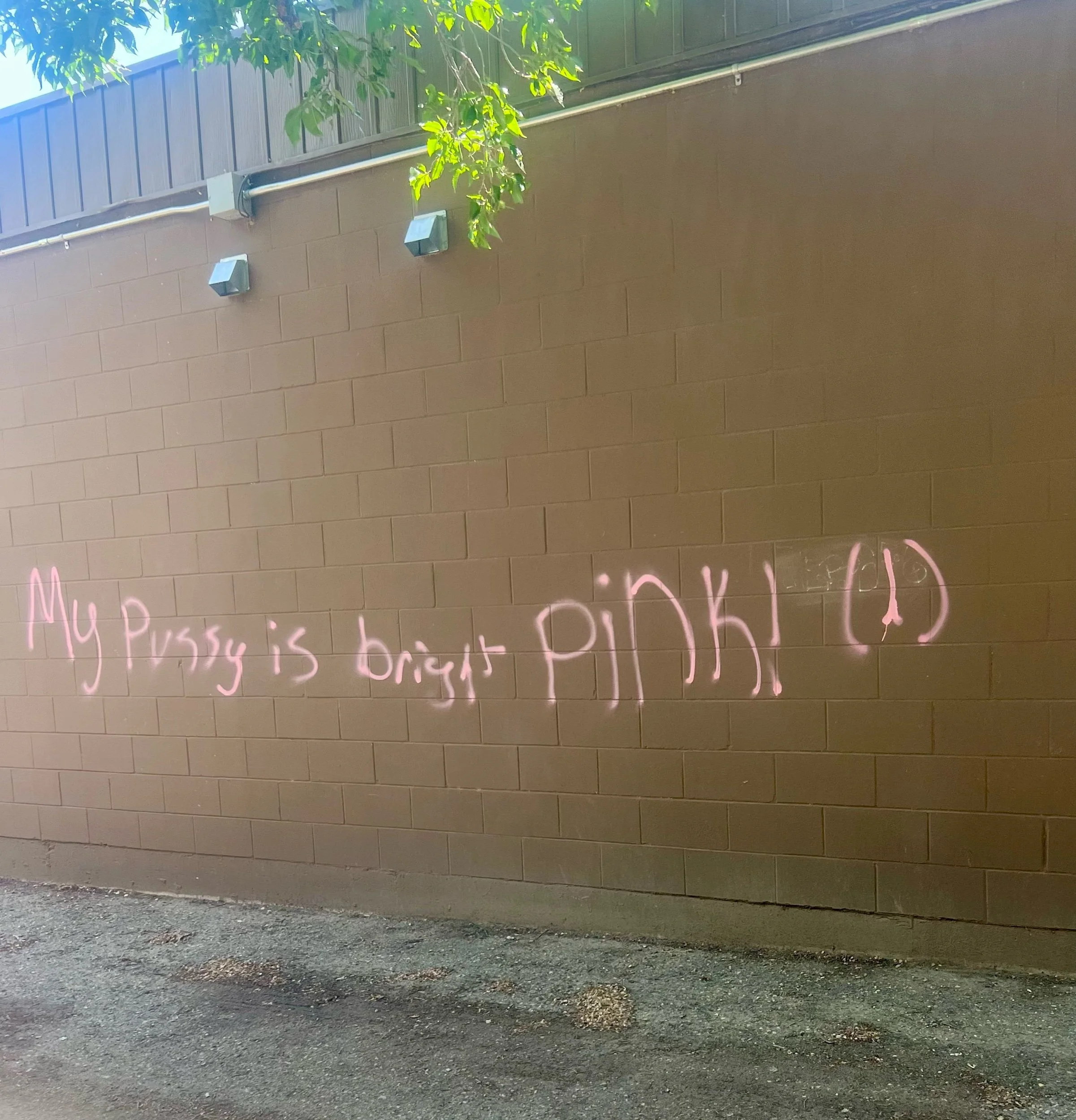 Graffiti Blooming In Moose Jaw