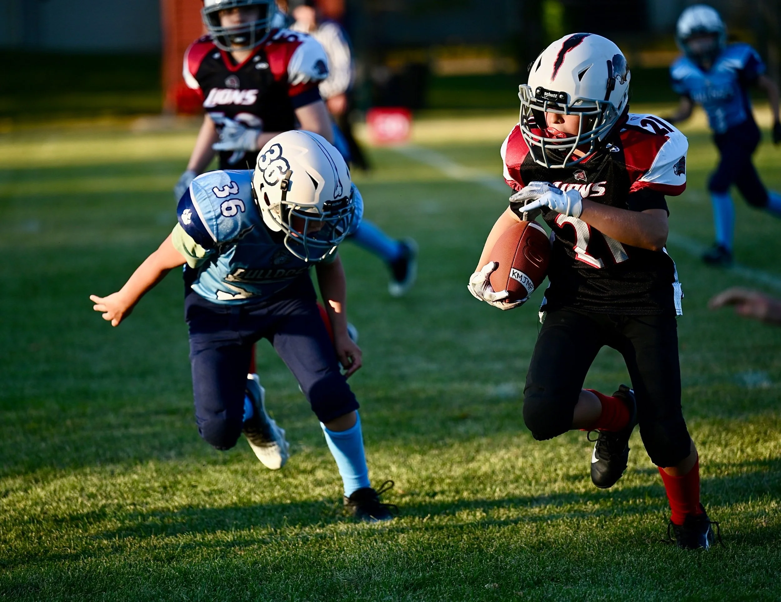 Lions Leash Bulldogs
