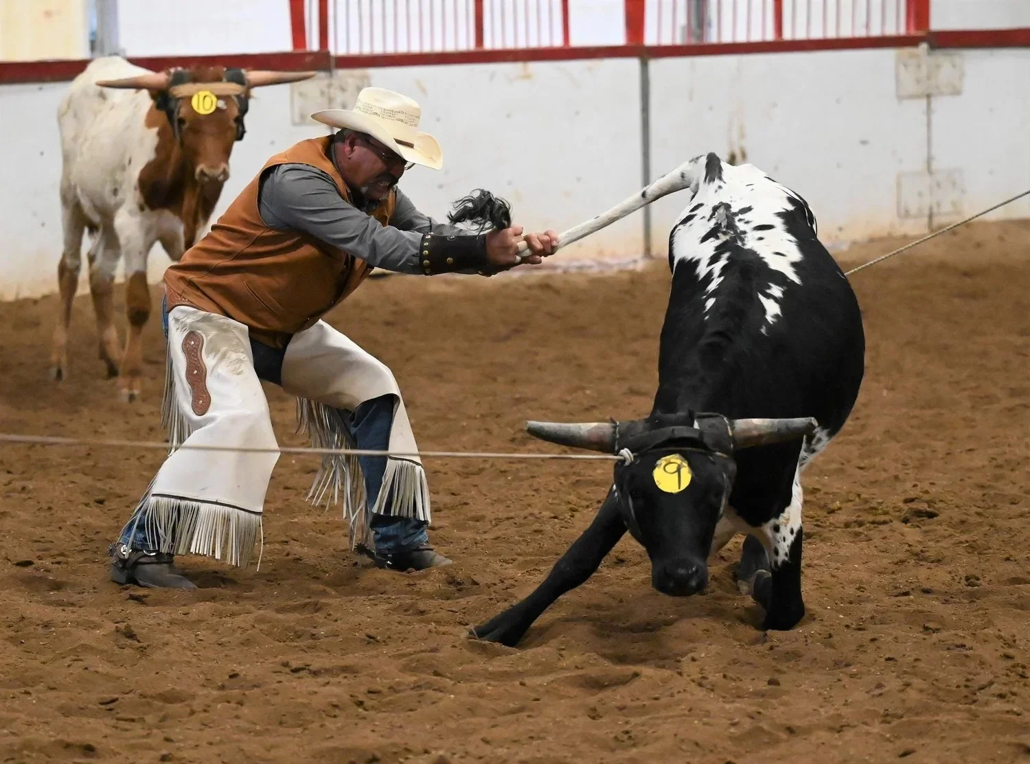 Ranch Roping To Take Over Exhibition Grounds