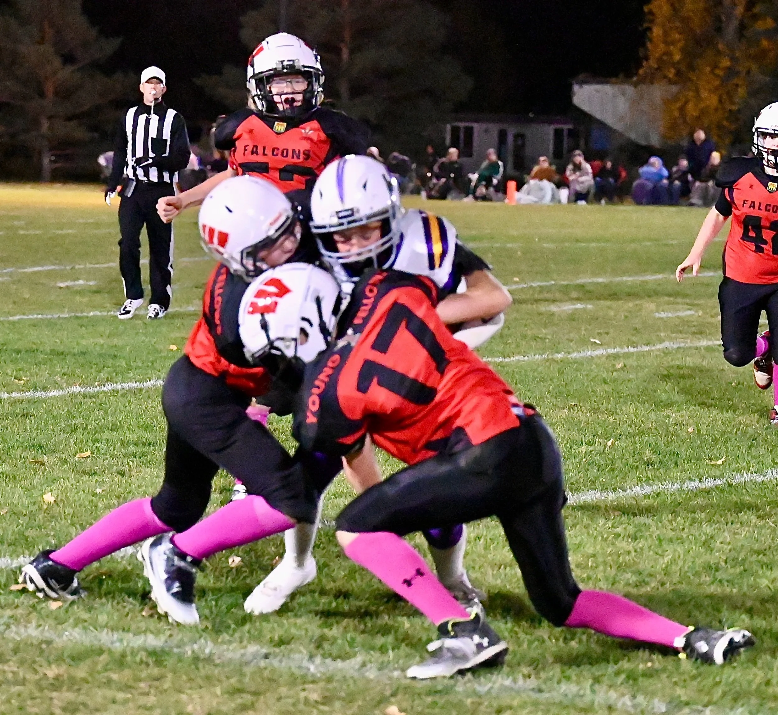 Vikings Finish Regular Season Undefeated 