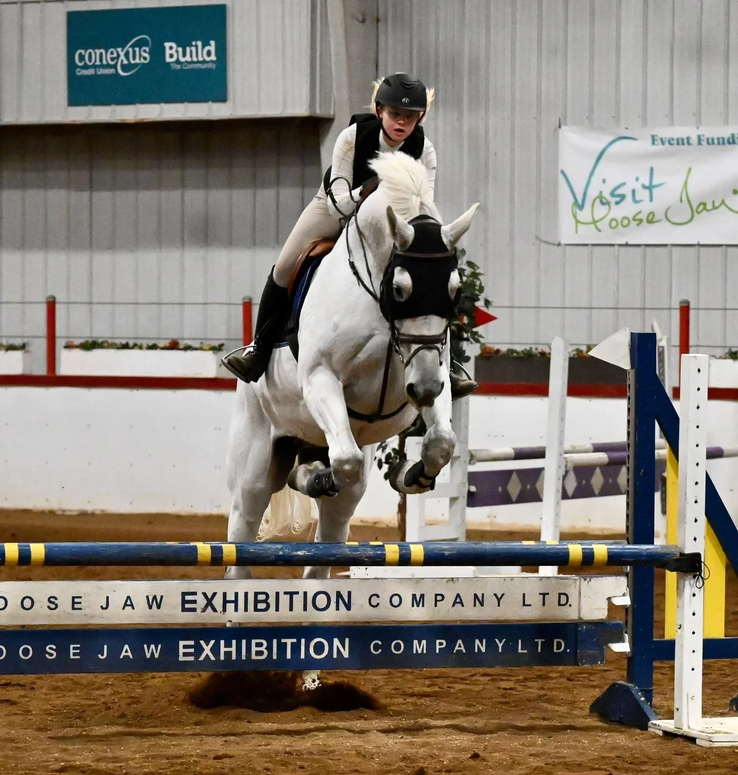 Hunter Jumper Series Clears Top Rung In 2025