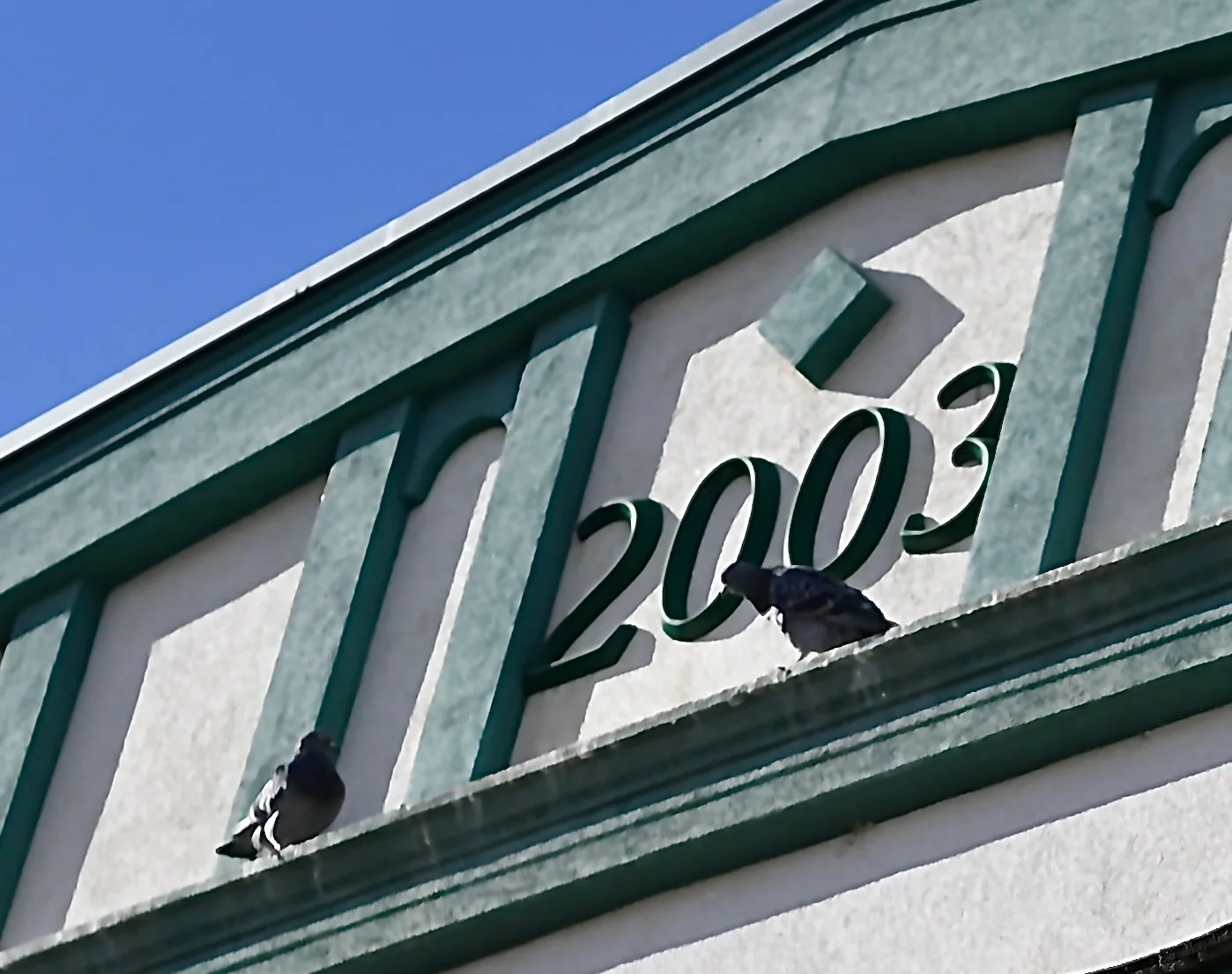 Pigeons In Their Parlour Has Tourism MJ Cooing For Emergency Scratch