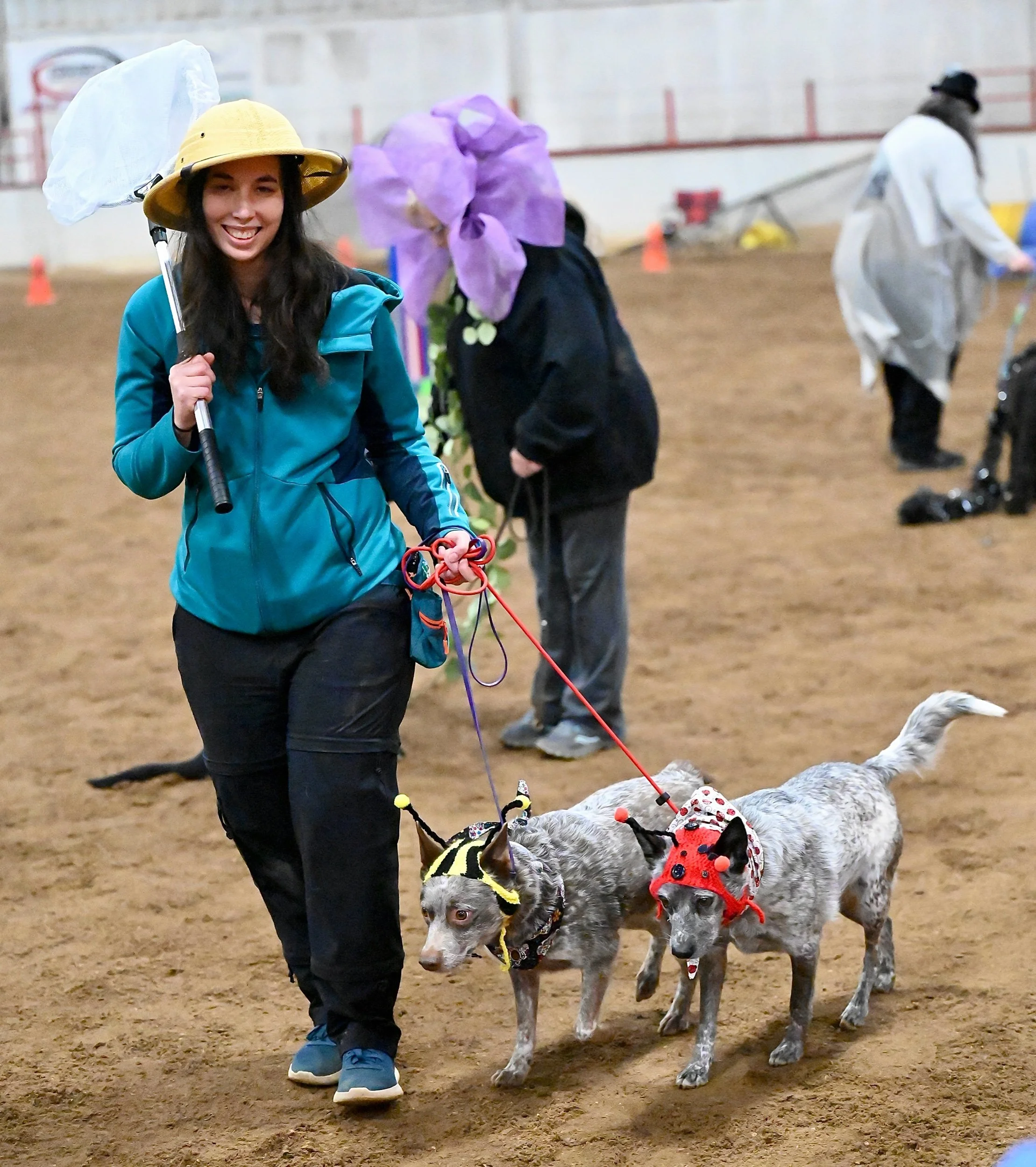 Dog Agility And Halloween Collide 