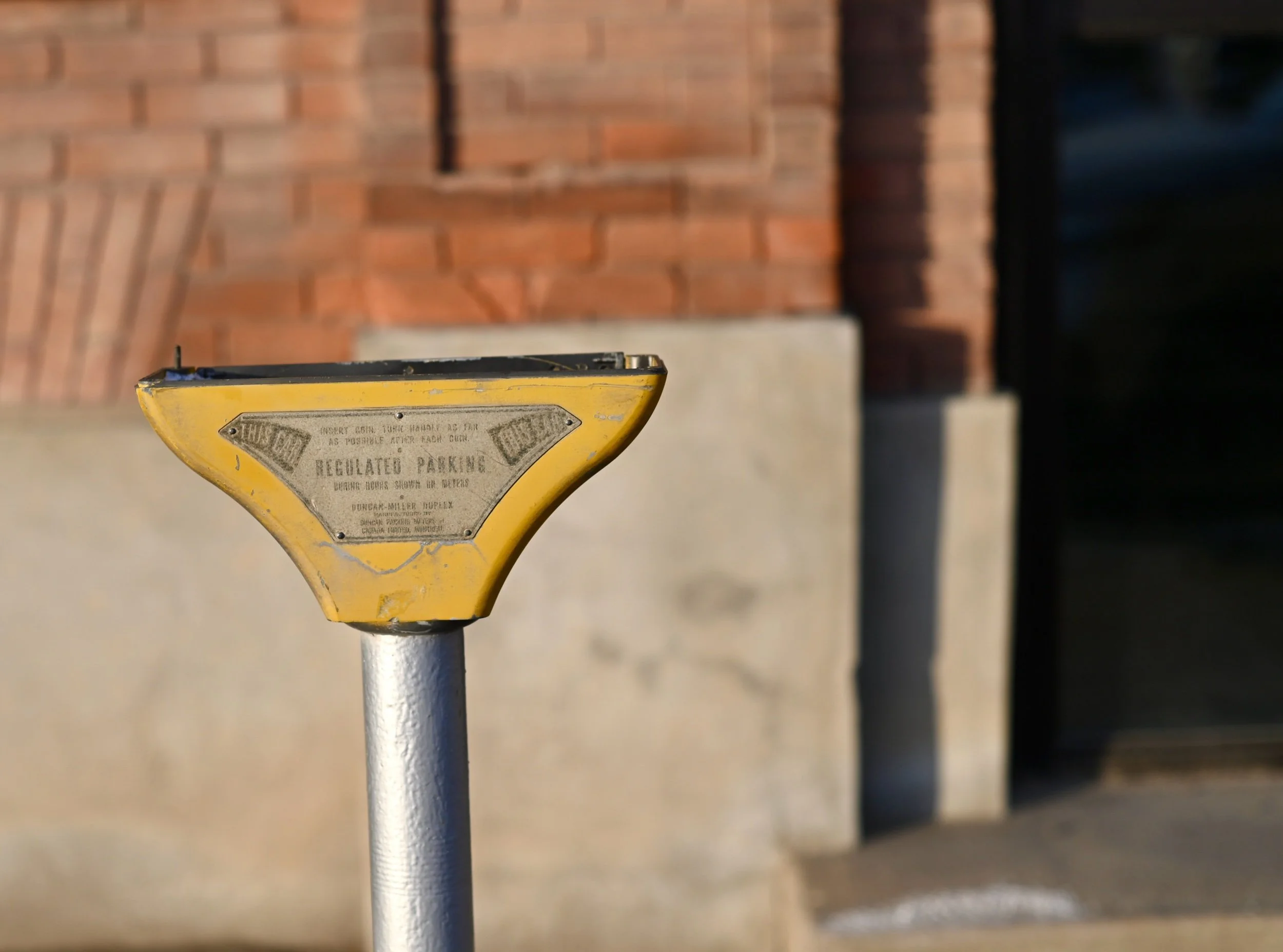 Rhino’s Ramblings - Free Parking (Copy)