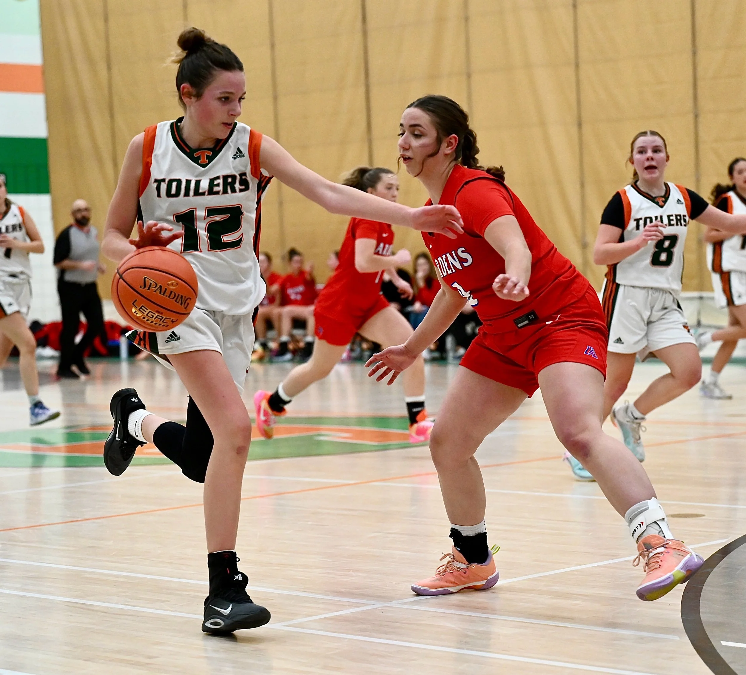 Senior Girls Toilers Fall To Ardens