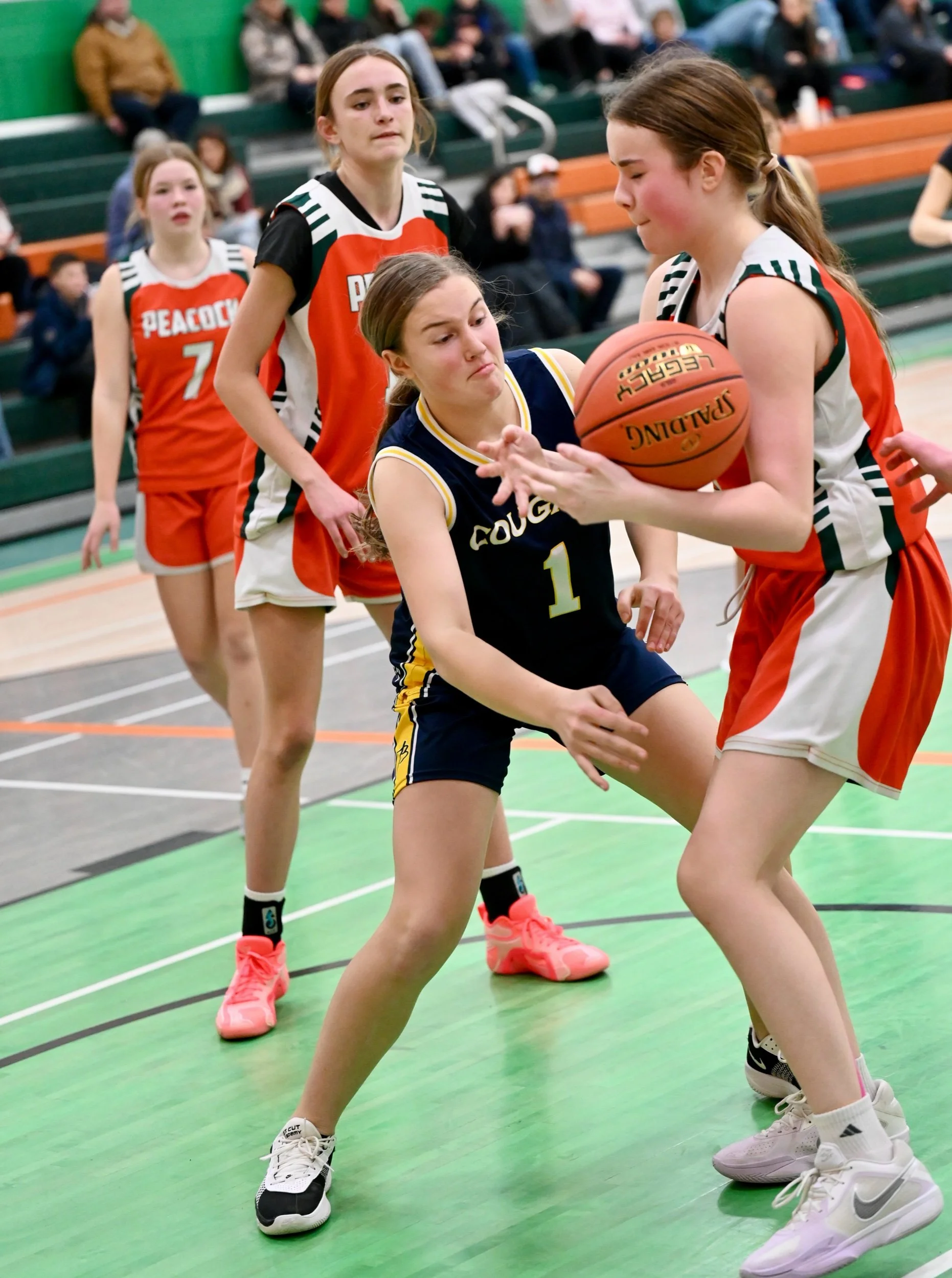 Junior Toilers Wrestle JV Cougars