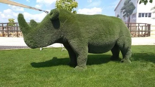 Rhino’s Ramblings - The CBC Is A Coming 