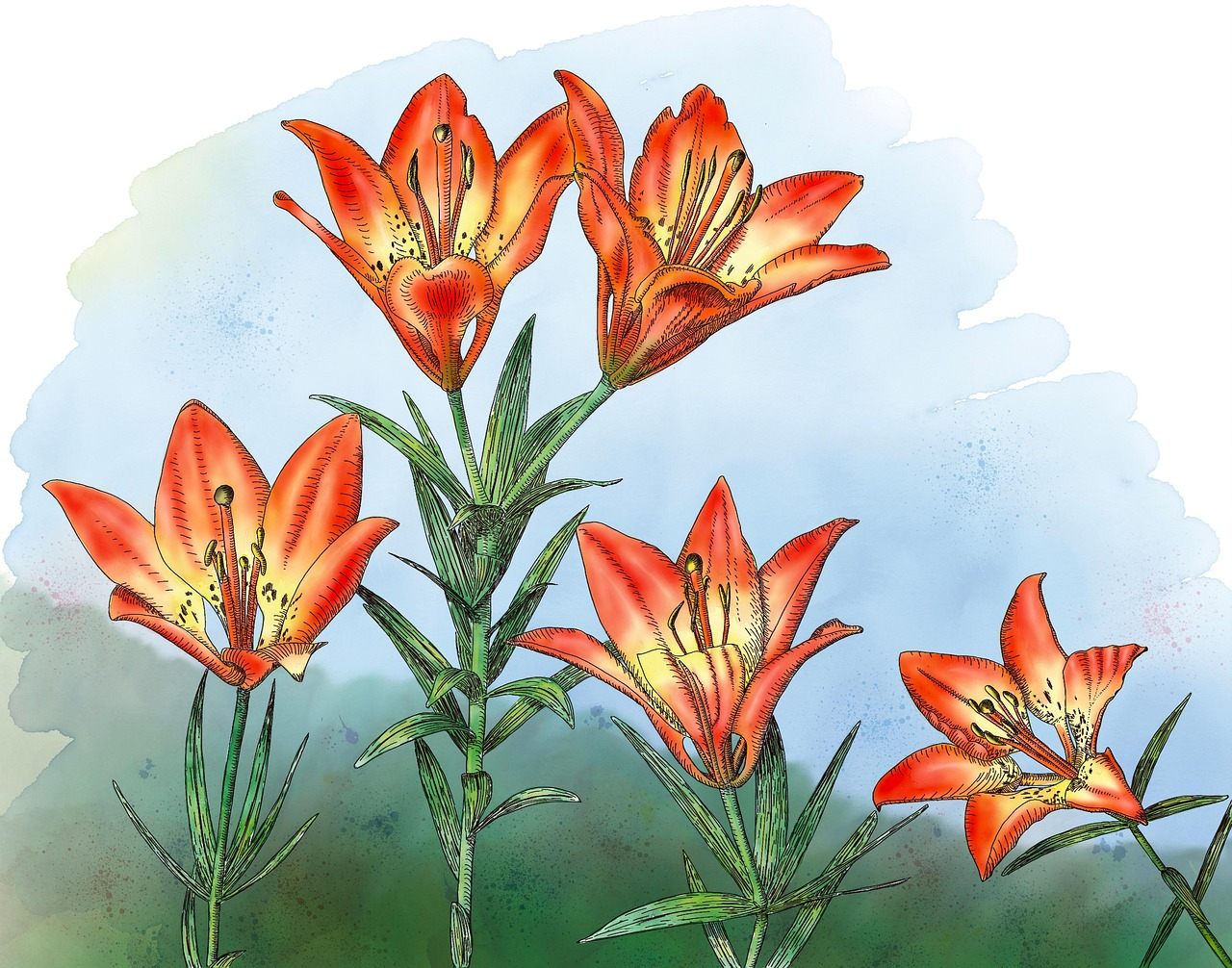 Richard Dowson - The Saskatchewan Song 