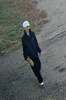 Police Seek Assistance In Vandalism Case