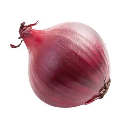 Rhino’s Ramblings - A Red Onion