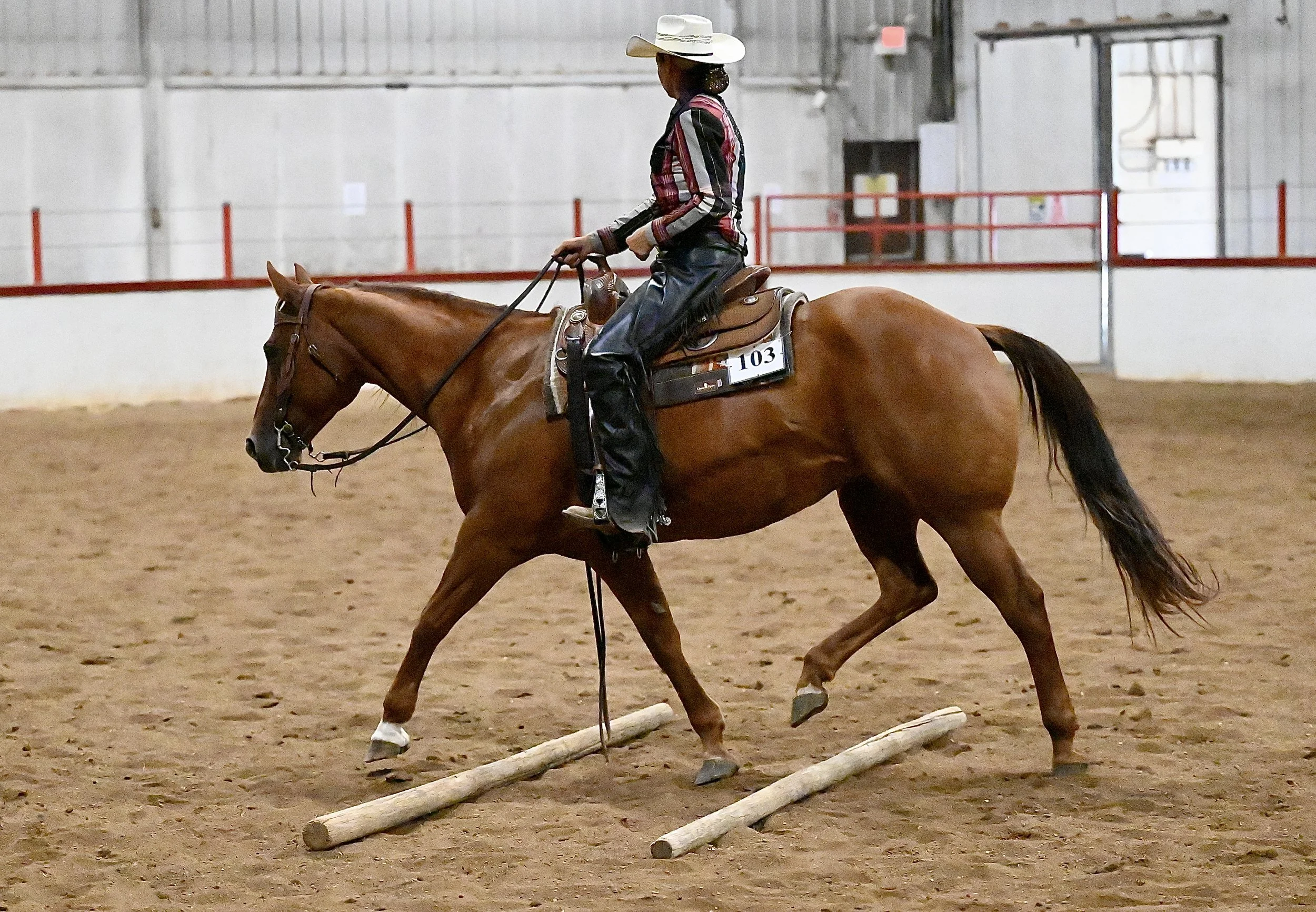 Seventy Riders Gallop Into Finals