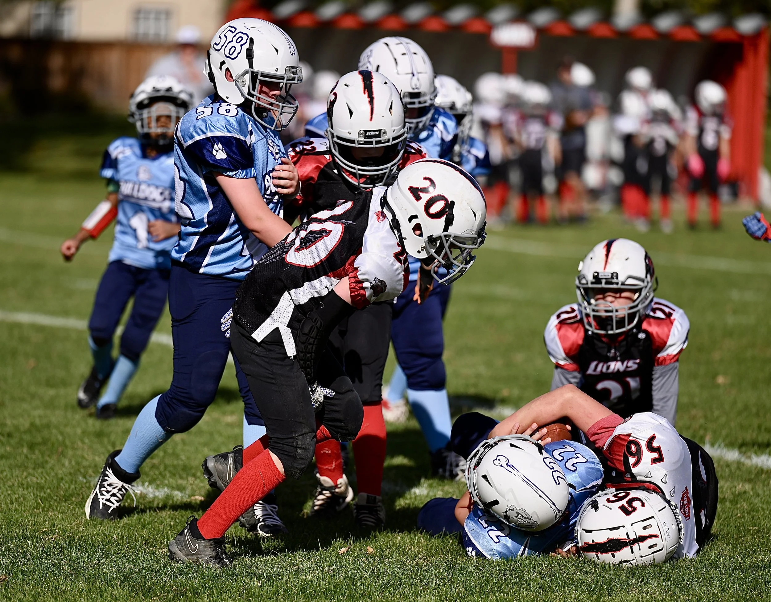 Lions Claw Bulldogs