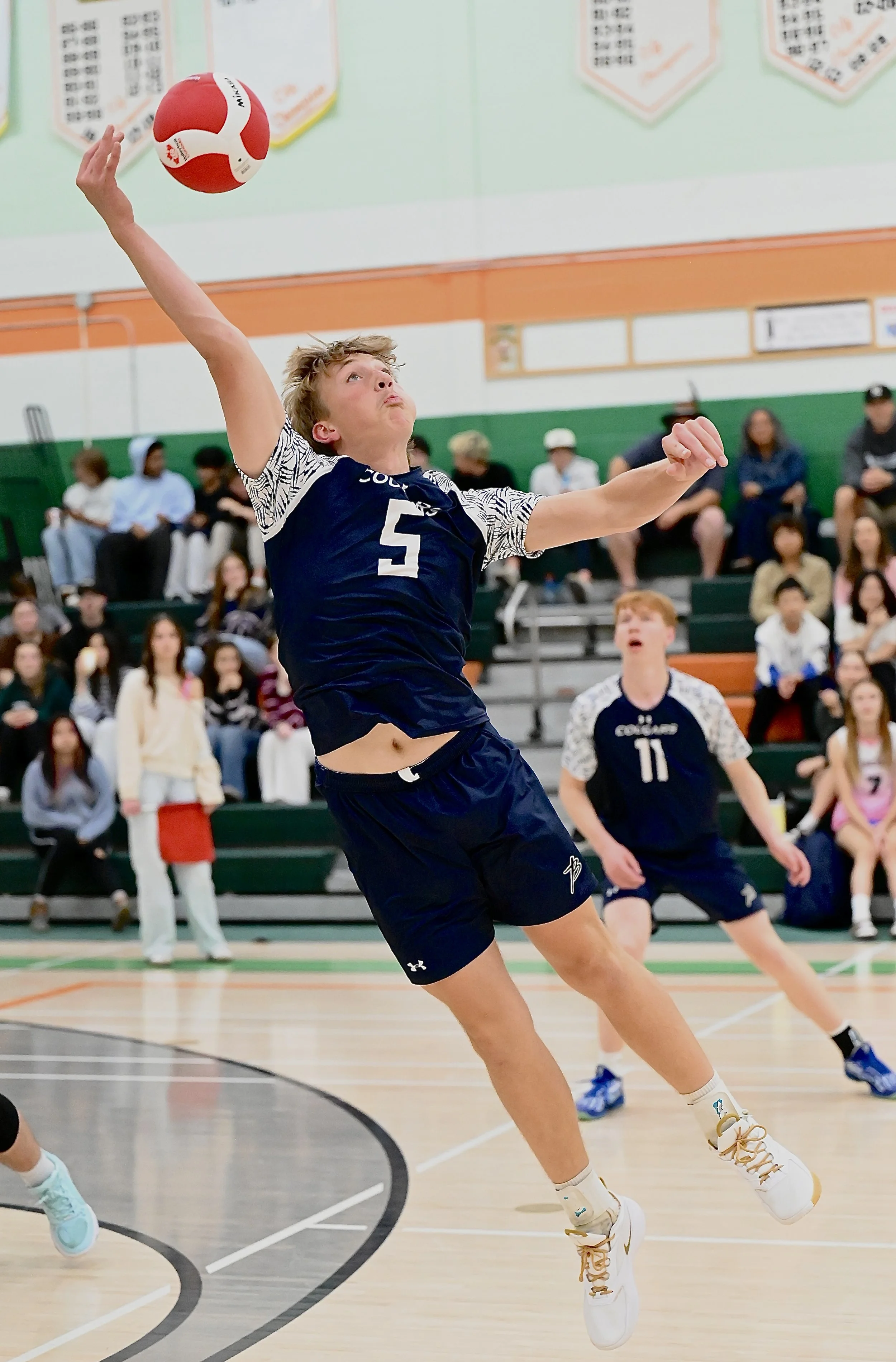 Cougars Spike Past Peacock 