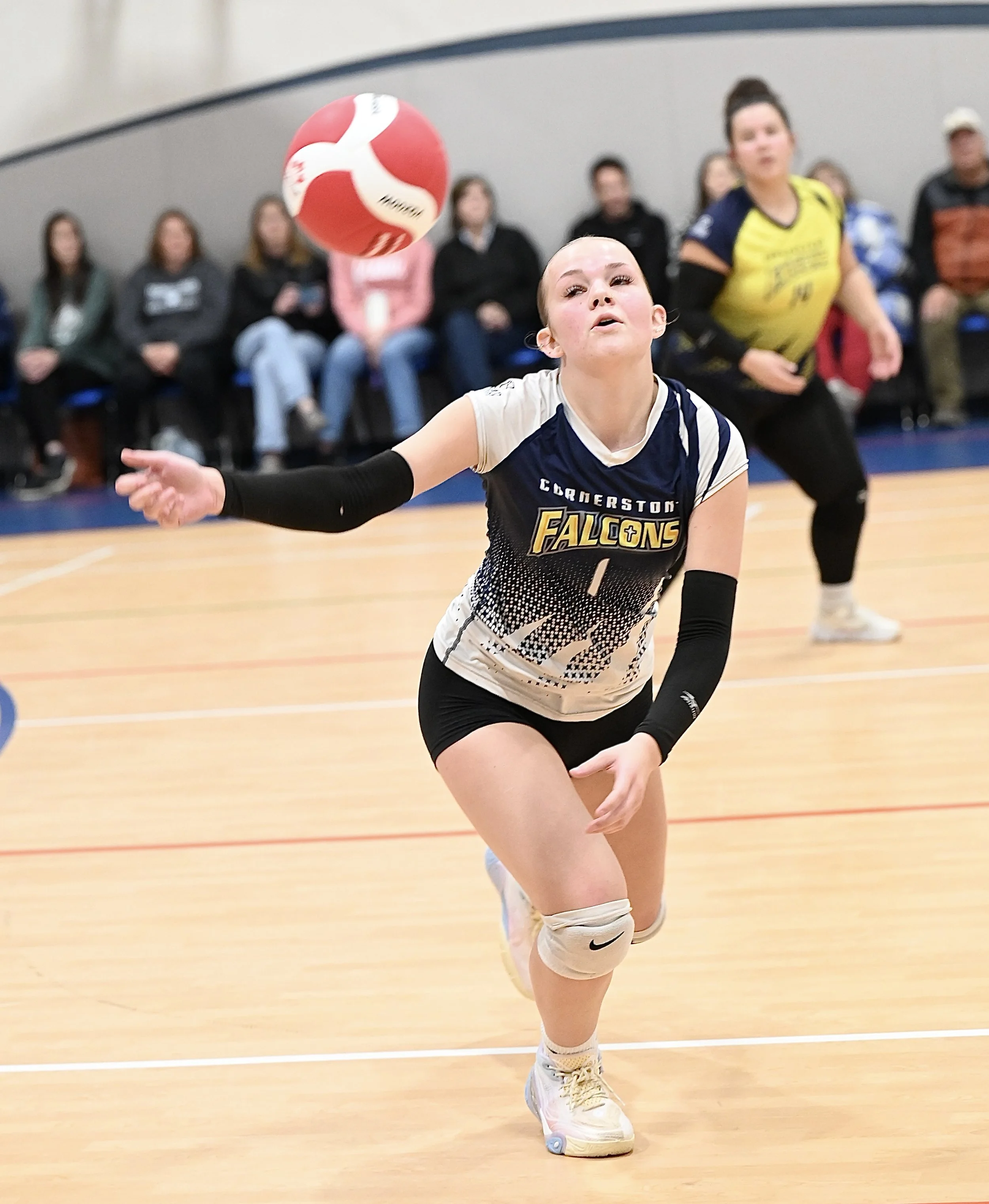 Falcons Take Round Two