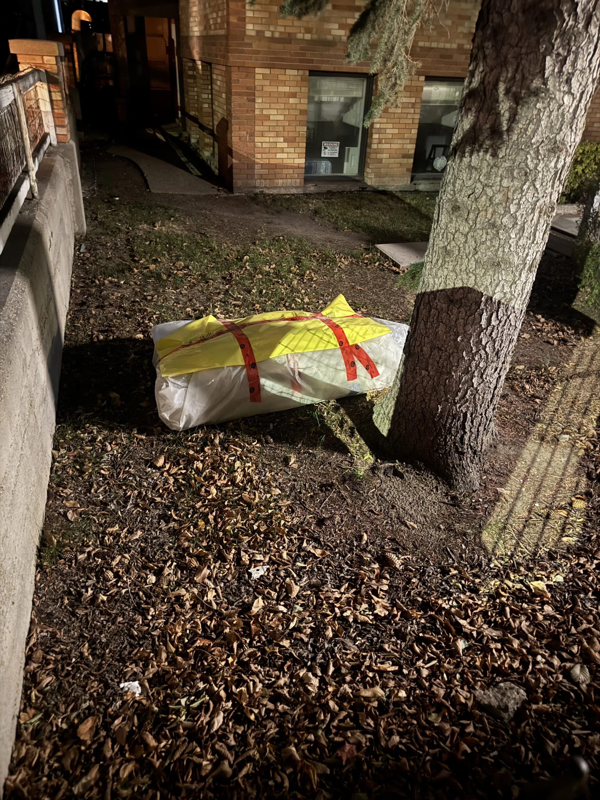 Rhino’s Ramblings - Council Rumoured Set To Take On Planning Department Woes Part Trois