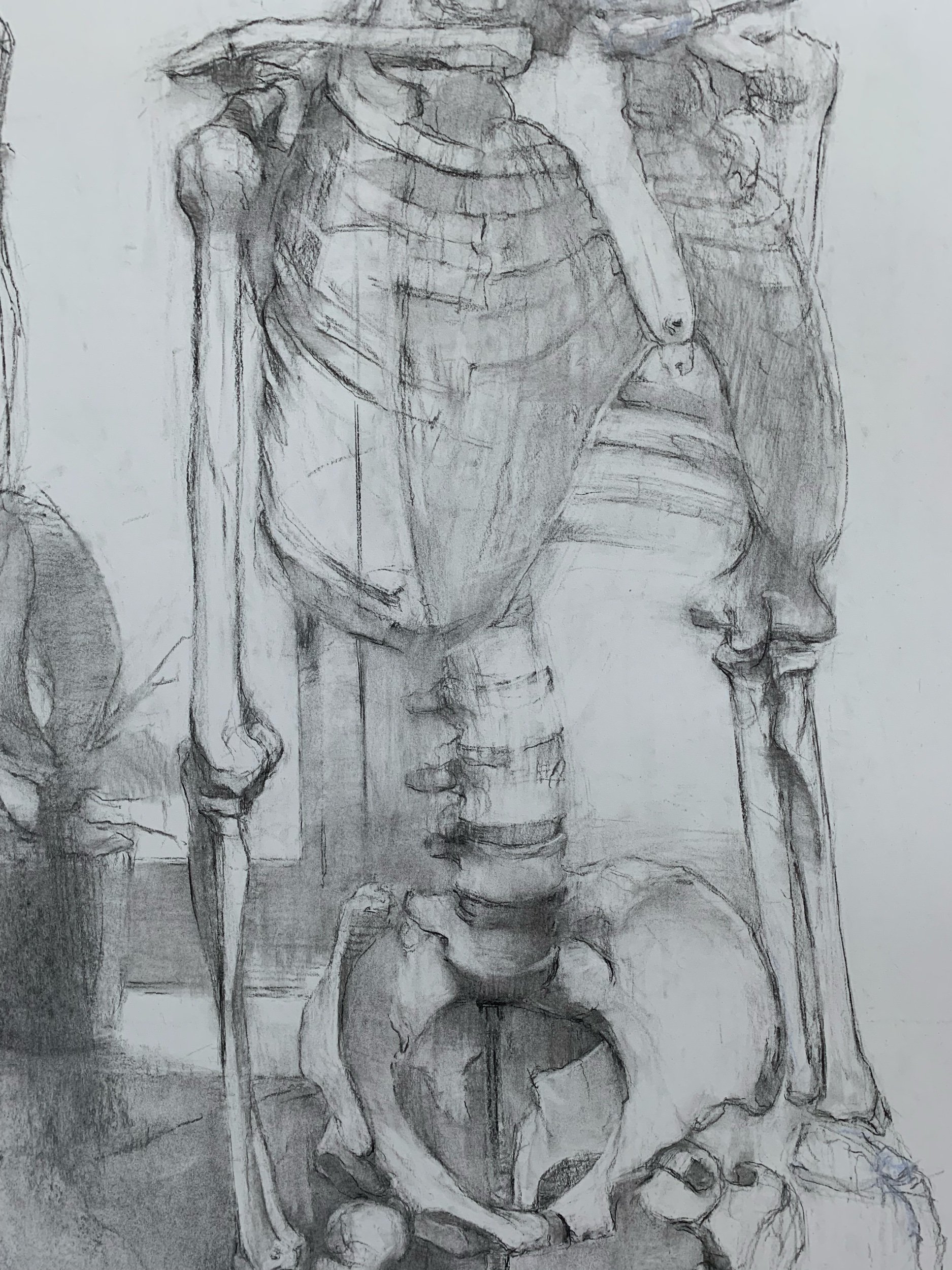   Skeleton 3,  detail 