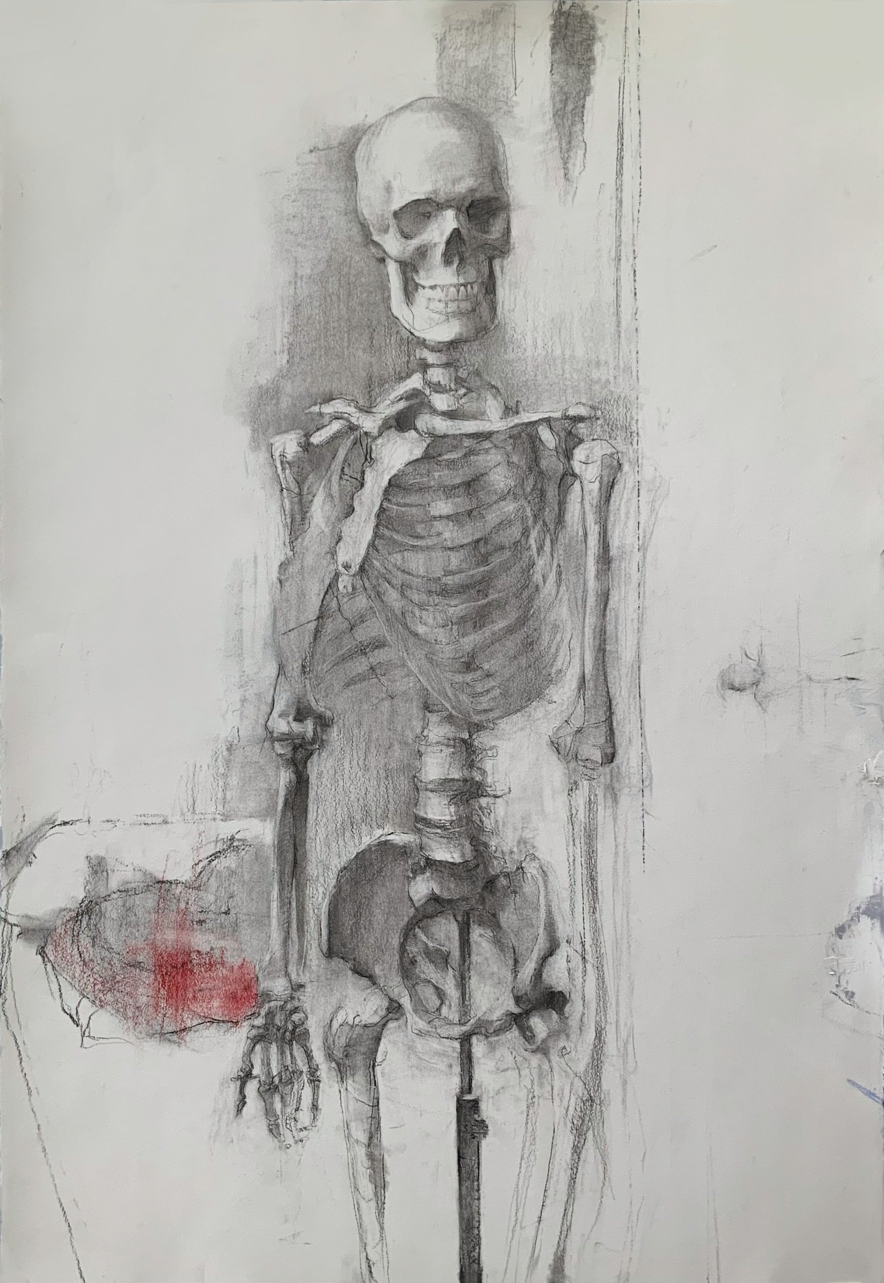   Skeleton 1   2021  44” x 30”  charcoal, pastel, and oil on paper 