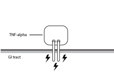 Excess amounts of TNF-alpha cause your immune system to mistakenly attack healthy cells in the GI tract, leading to inflammation—the underlying cause of Crohn’s symptoms. © Janssen Biotech, Inc. 2017.