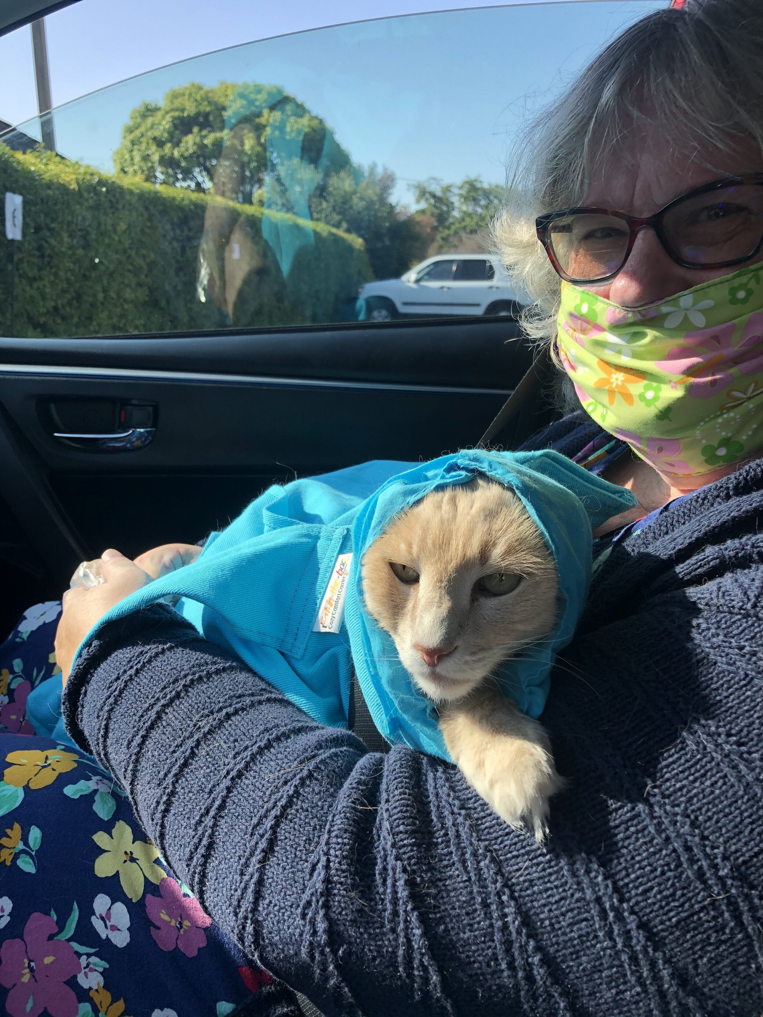 An image of the blog author and her cat, Dr. Don sitting in the car.