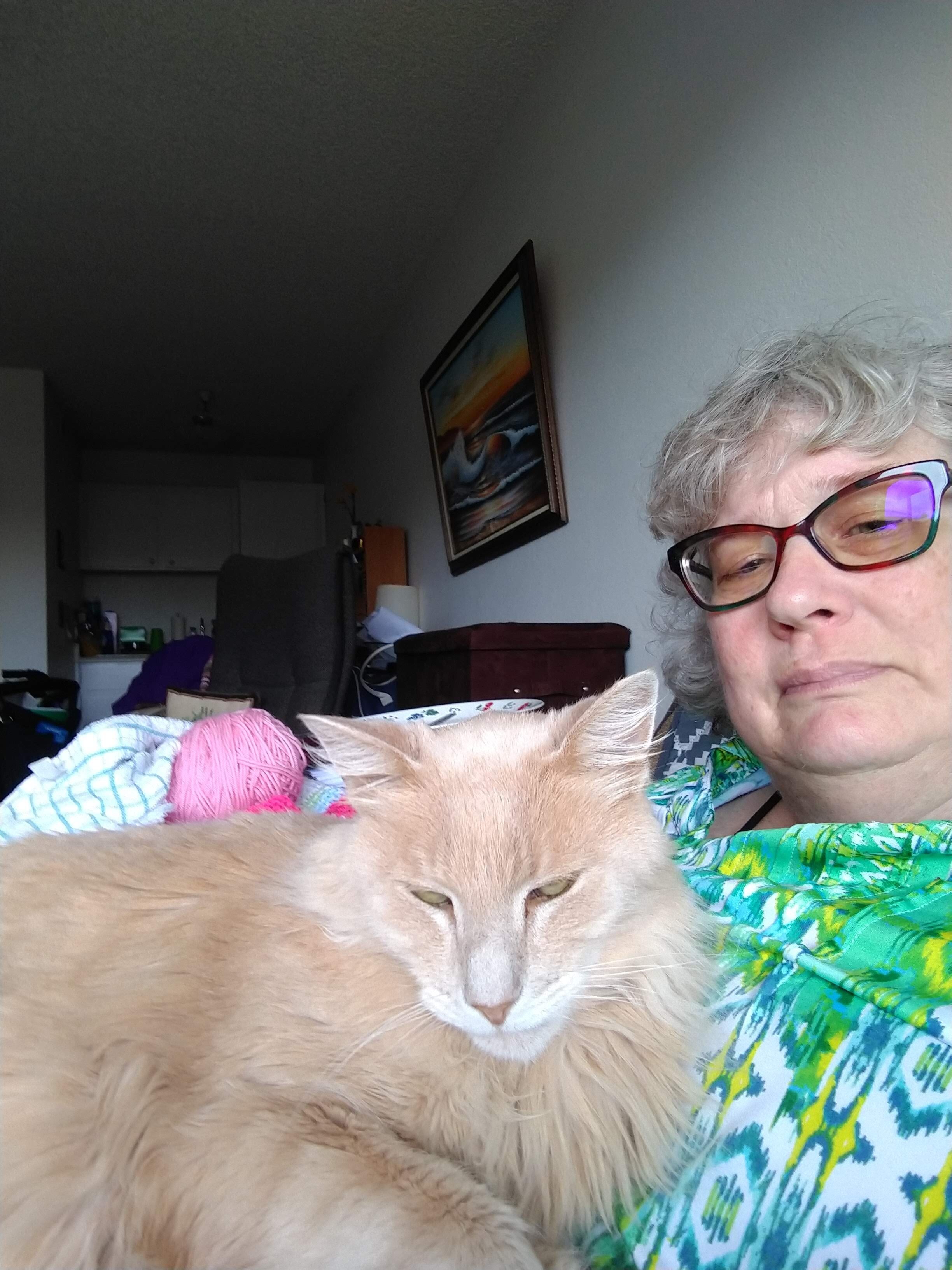 An image of the blog author and her cat sitting inside.