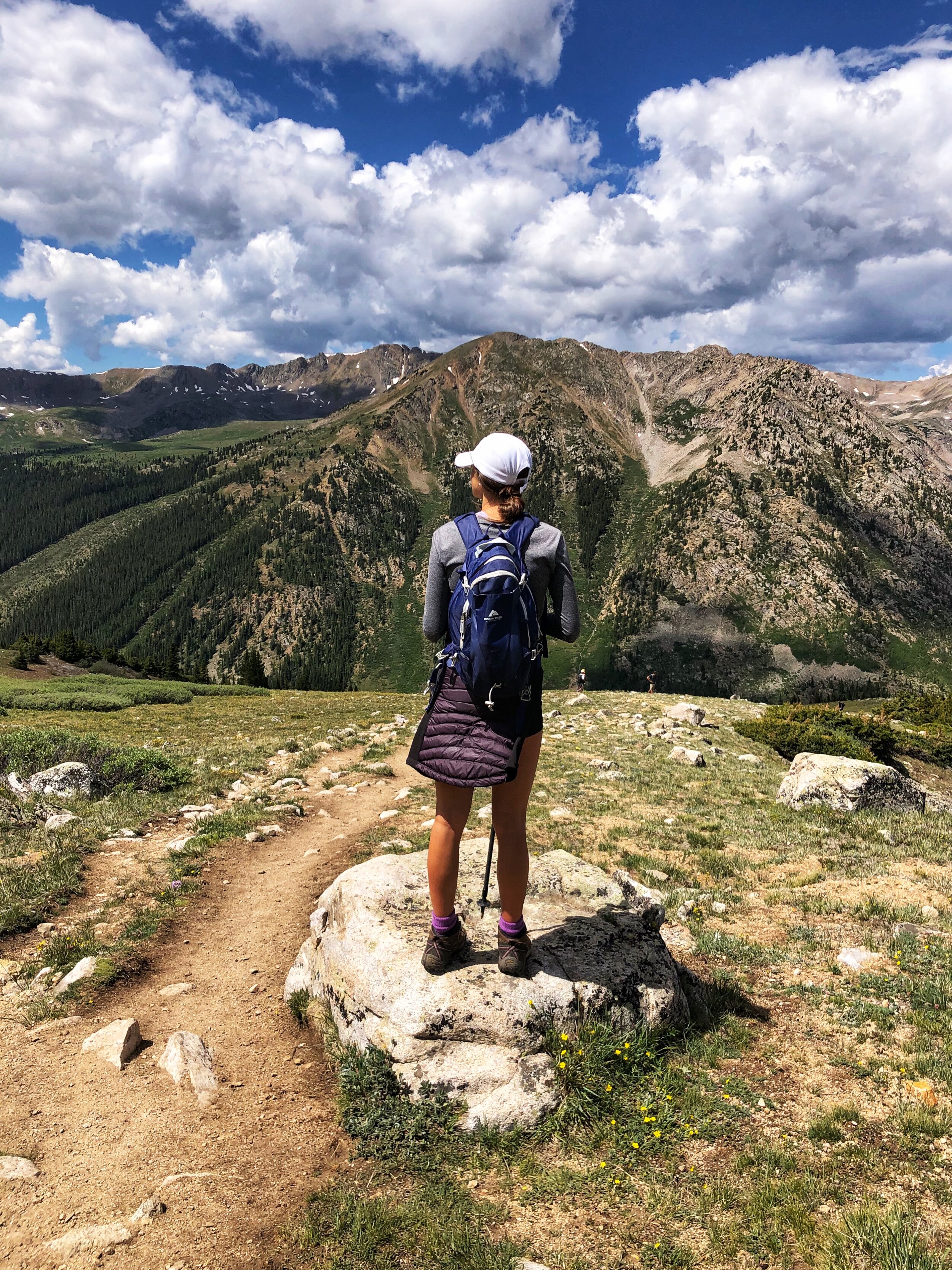 The author stands on top of a mountain with a hiking stick and backpack.