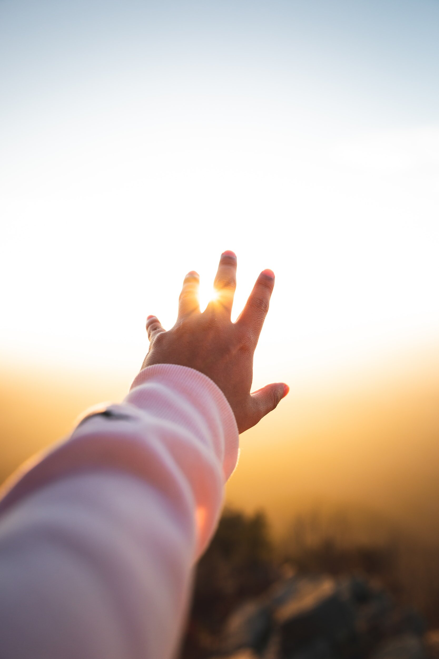 Photo by Brennan Martinez on UnsplashAn harm stretches out into the sun. The hand is open as if reaching for something.