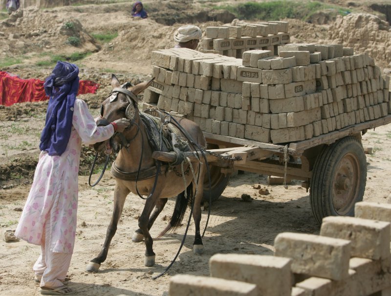 Horses, donkeys, and mules carry out backbreaking labor alongside women. If it weren_t for their animals, the burden would fall on the women themselves..jpg