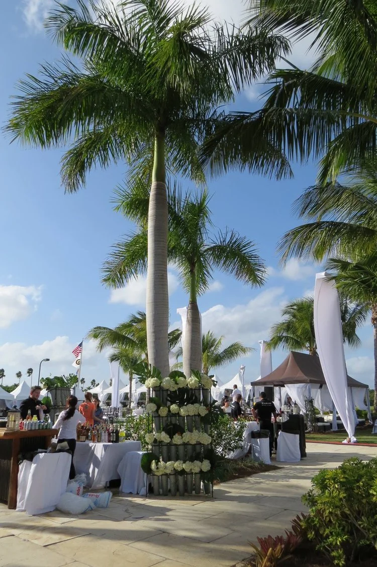 Nic+Roldan_s+2nd+Annual+Sunset+Polo+_+White+Party+by+Charlotte+Verdon.jpg