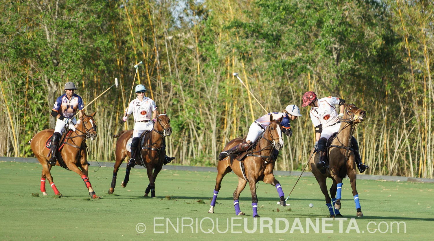 Sunset_Polo_by_Enrique_Urdaneta-20170324-9.jpg