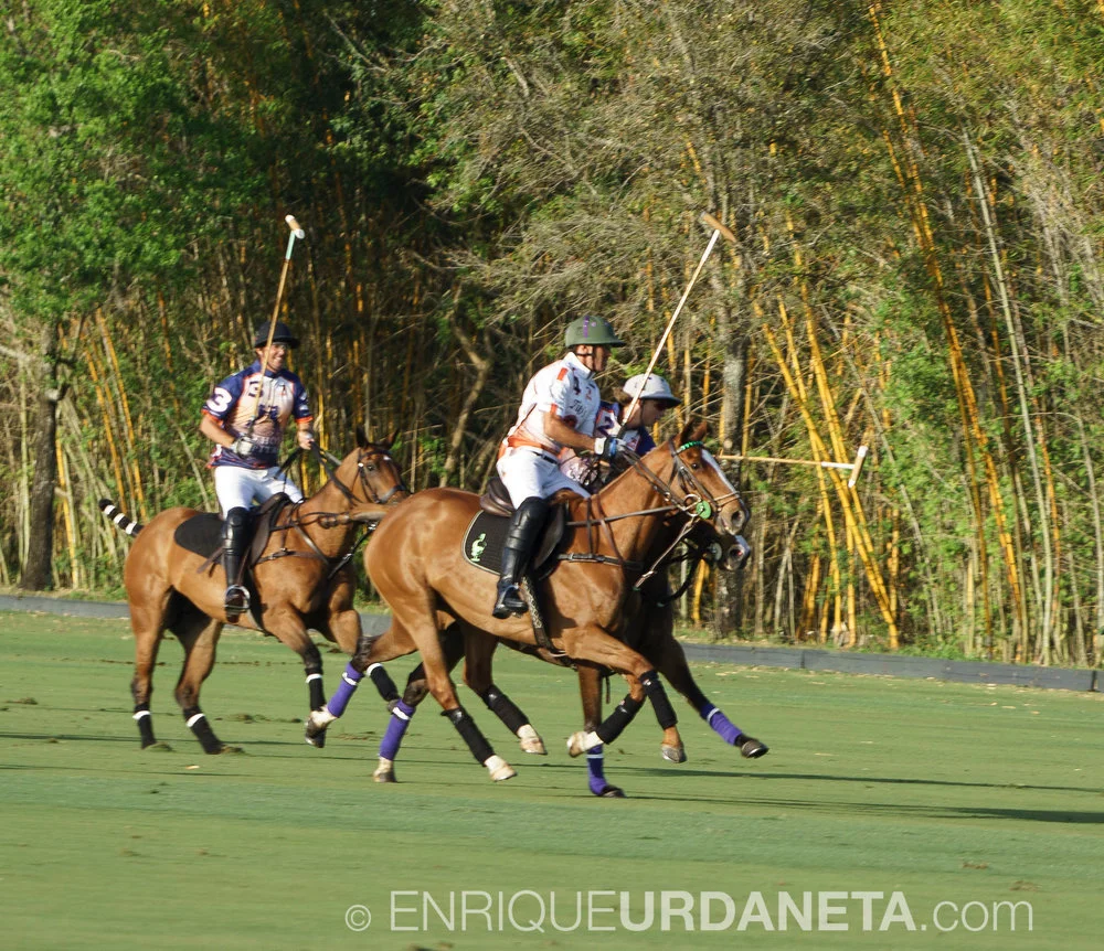 Sunset_Polo_by_Enrique_Urdaneta-20170324-13.jpg