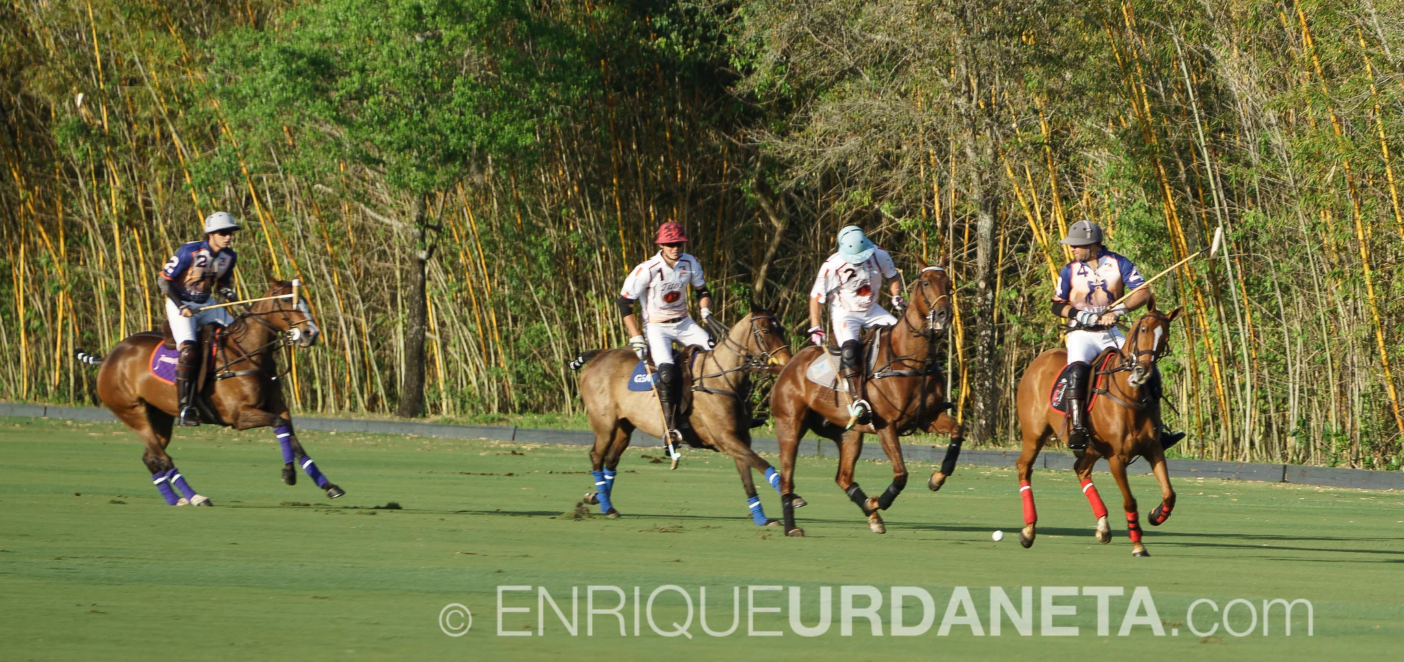 Sunset_Polo_by_Enrique_Urdaneta-20170324-7.jpg