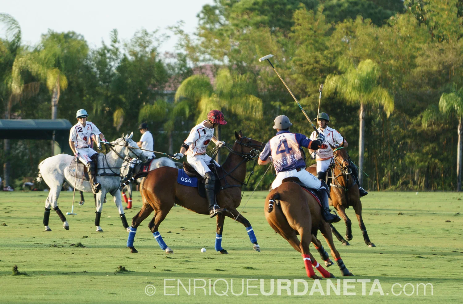 Sunset_Polo_by_Enrique_Urdaneta-20170324-55.jpg
