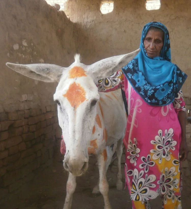 Mariyum Bibi