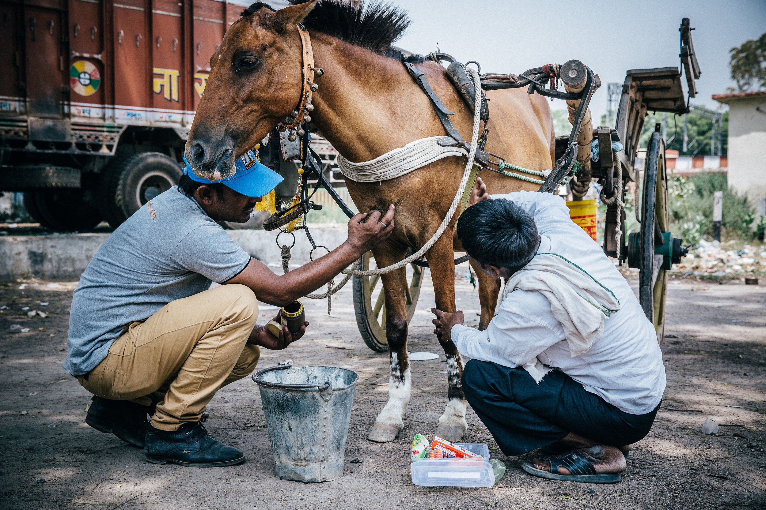 India.2015(78of289).JPG