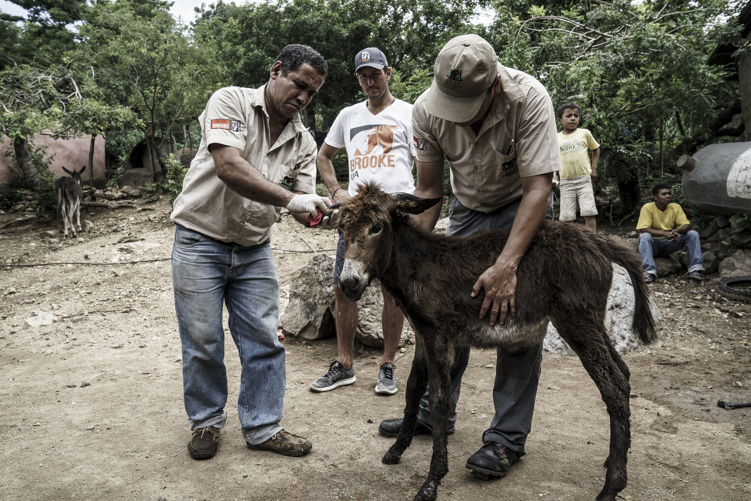 Brooke_Guatemala_Day_2_20160919-499 (2).jpg