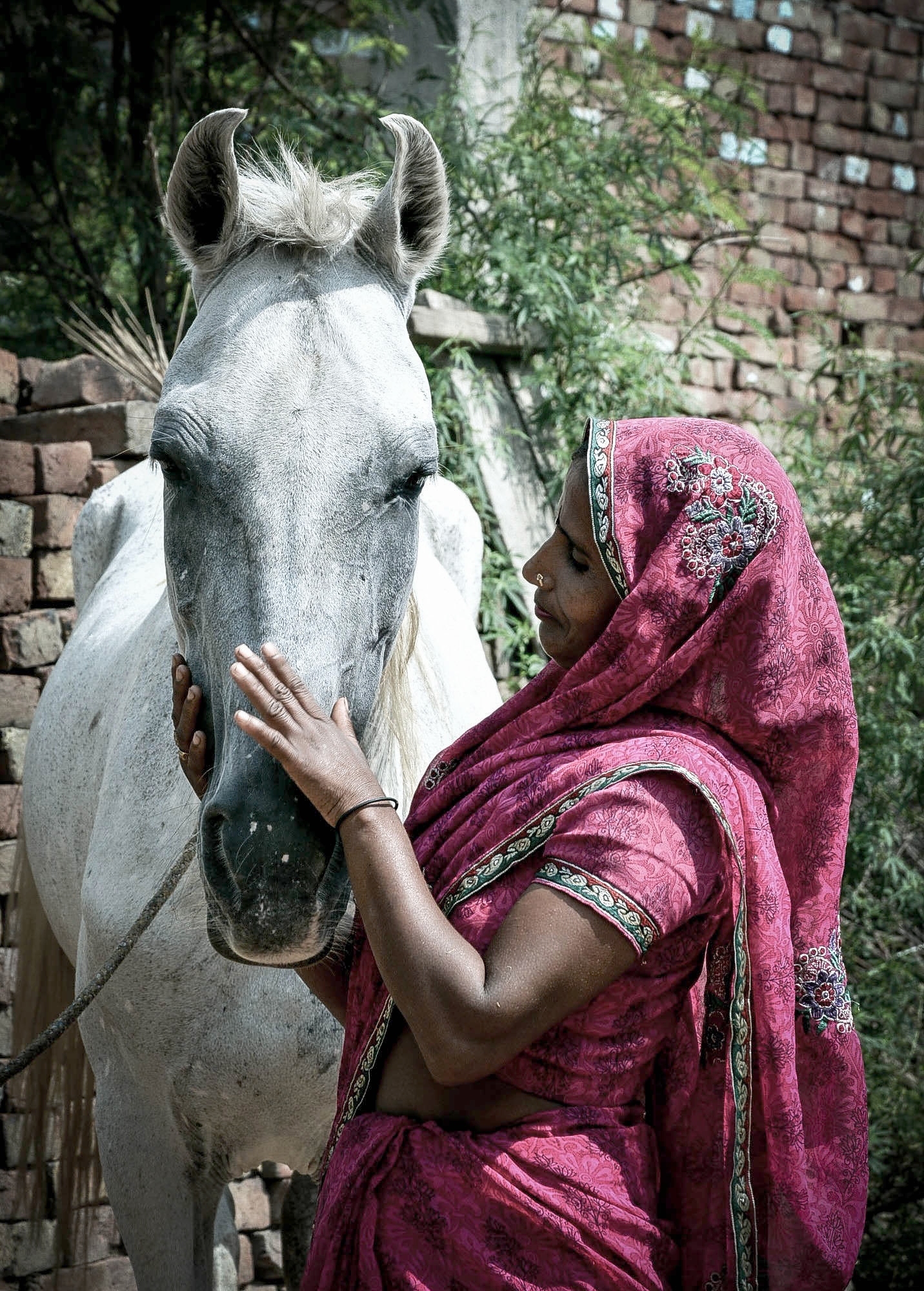 Horse and woman in India.jpg