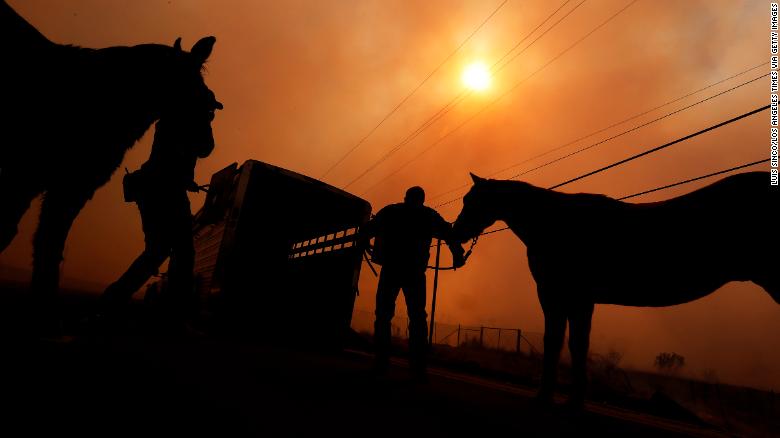 171208003749-california-fires-animals-horses-2-exlarge-169.jpg