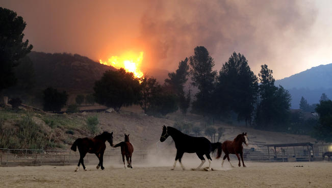  Horses are spooked as the Woolsey Fire moves through the property on Cornell Road near Paramount Ranch on November 9, 2018 in Agoura Hills, California.   