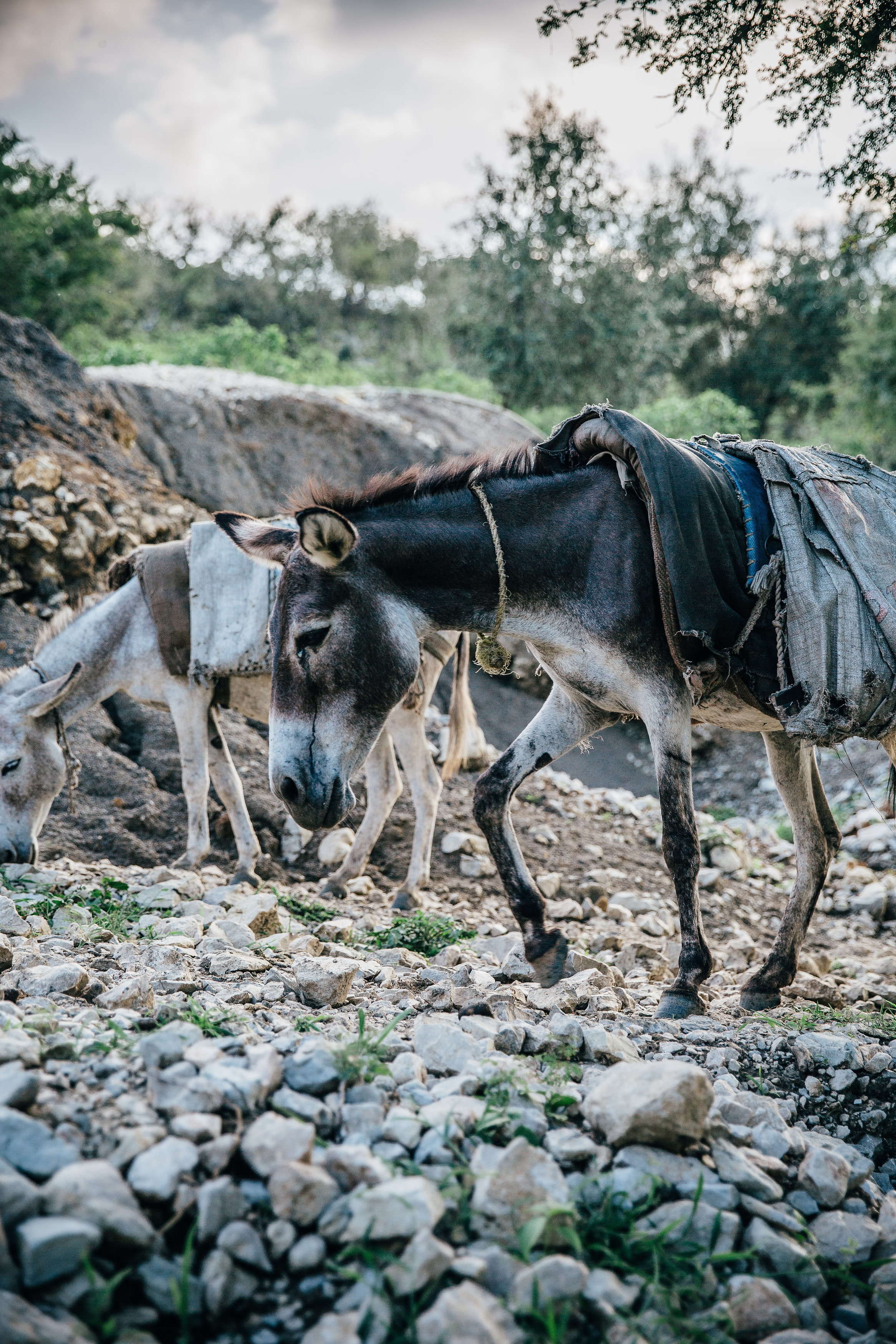 Pakistan.2015(13of382).JPG